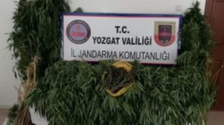 Jandarma 86 K&ouml;k Hint Keneviri Ele Ge&ccedil;irdi