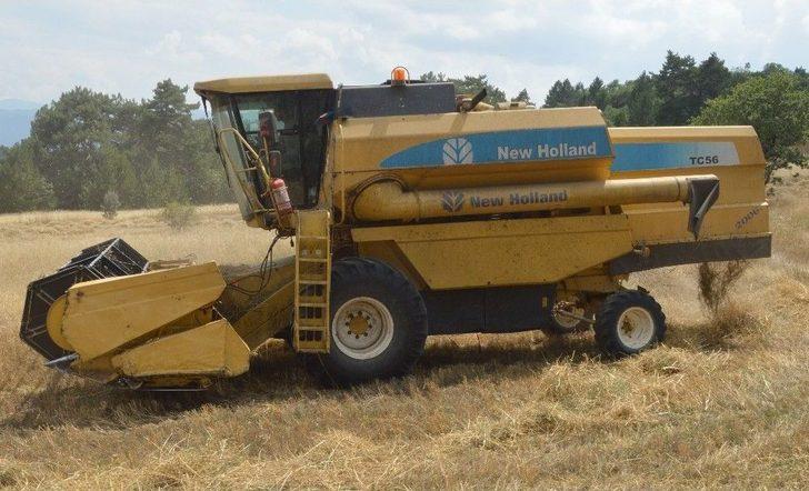 (özel) Buğdayın Atası ‘siyez’in Hasadı Devam Ediyor G2