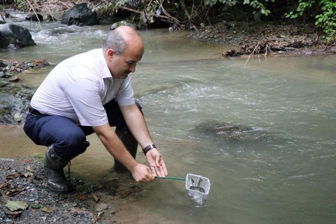 Nesli T&uuml;kenmekte Olan 7 Bin 500 Kırmızı Benekli Alabalık Ak&ccedil;ay Deresi&rsquo;ne Bırakıldı