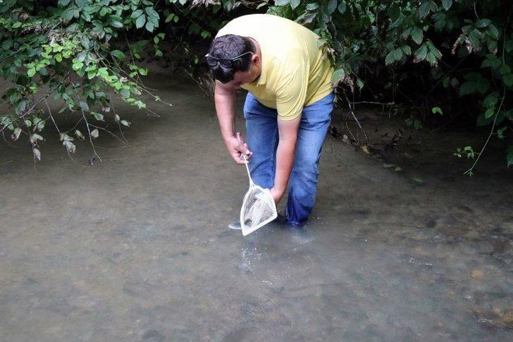 Nesli Tükenmekte Olan 7 Bin 500 Kırmızı Benekli Alabalık Akçay Deresi’ne Bırakıldı G5