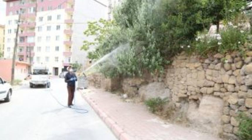 Niğde Belediyesi Sarıkız &Ouml;r&uuml;mcek İla&ccedil;laması Yapıyor