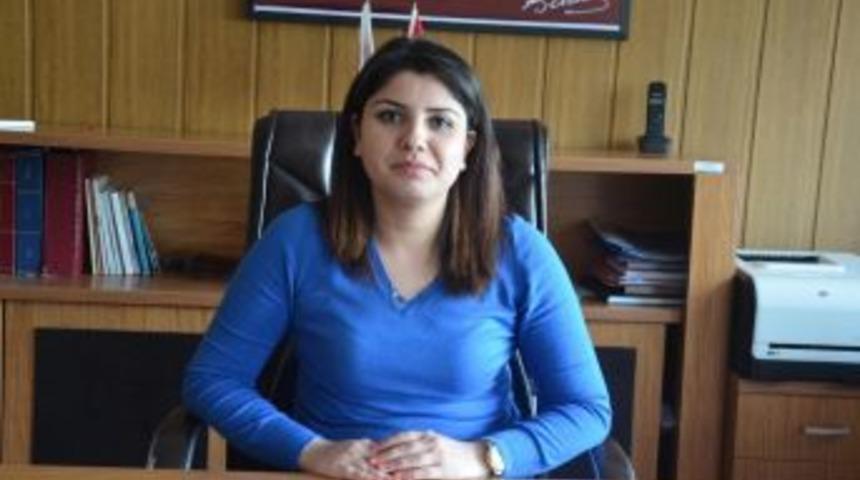 Fatsa Orman İşletme Şefi Şen: “ormanların Korunması Ve Bakımı İçin Büyük Bir Çaba Gösteriyoruz"