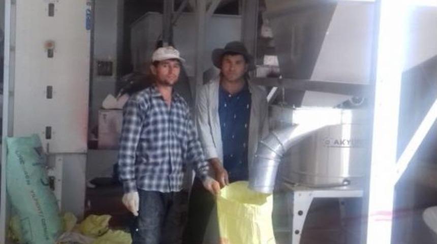 Çiftçiler, Ekim İçin Tohumluk Hazırlığına Başladı