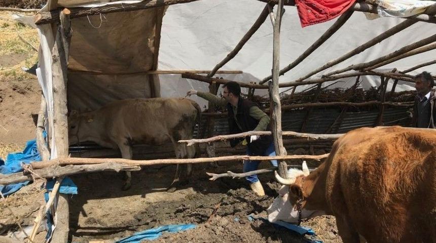 Toçbirsen Arguvan Temsilcisi Mehmet Saydan: