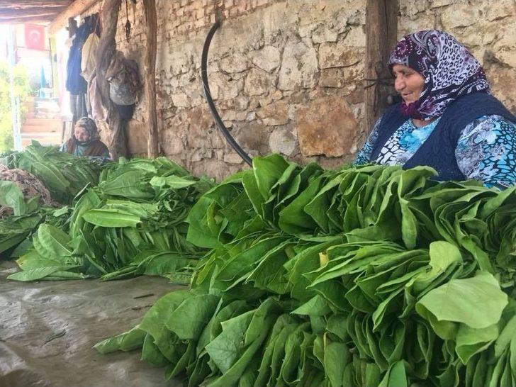 Toplumsal Cinsiyet Ve Kadın Folkloru Balıkesir’de Araştırılıyor G3