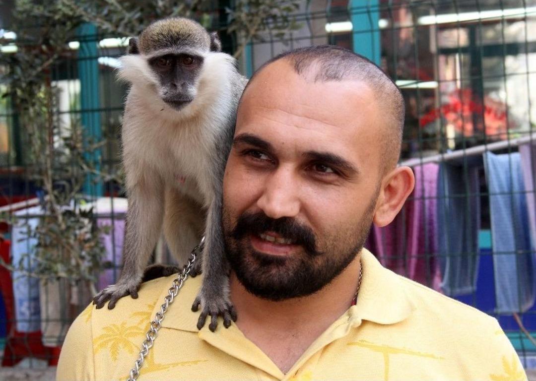 Adıg&uuml;zel, Maymununa 1,5 Ay Sonra Kavuştu