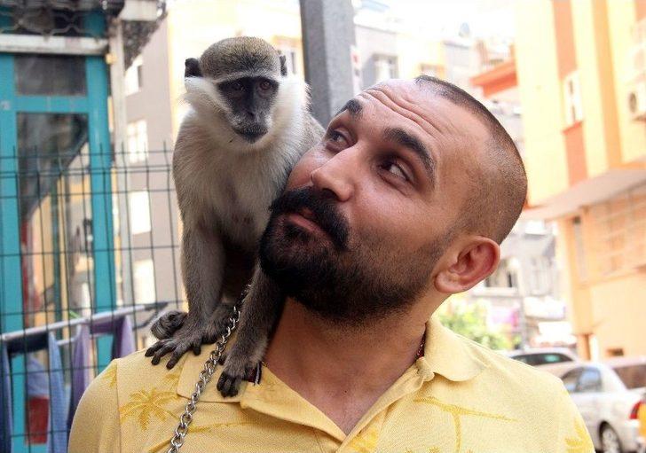 Adıgüzel, Maymununa 1,5 Ay Sonra Kavuştu G1