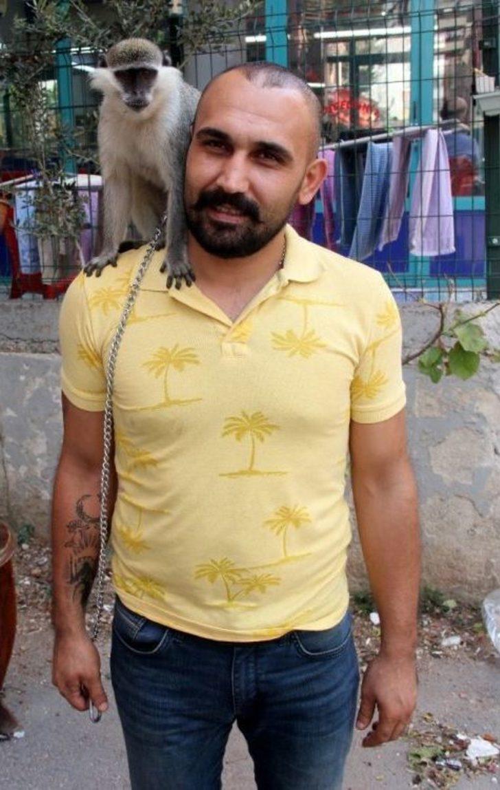 Adıgüzel, Maymununa 1,5 Ay Sonra Kavuştu G4