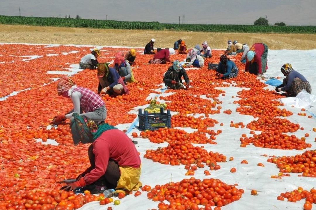 (&ouml;zel) Derik&rsquo;ten İtalya&rsquo;ya Uzanan Lezzet
