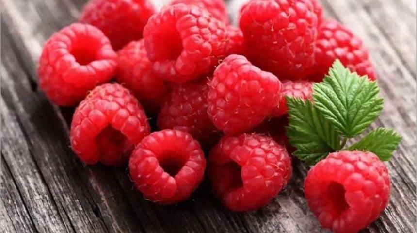 Aşırı Yağışlar Ahududuyu Vurdu