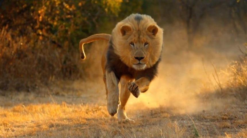 Bel&ccedil;ika&rsquo;da Doğdular, İzmirli Olacaklar