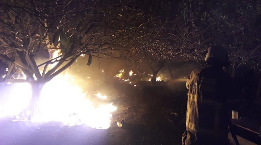 Dam Yangınında Hayvanlar Telef Oldu