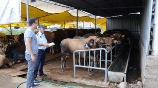 Kartepe Kurban Bayramı’na Hazır