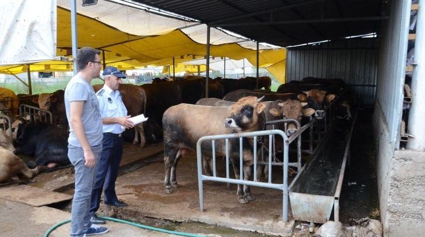 Kartepe Kurban Bayramı’na Hazır