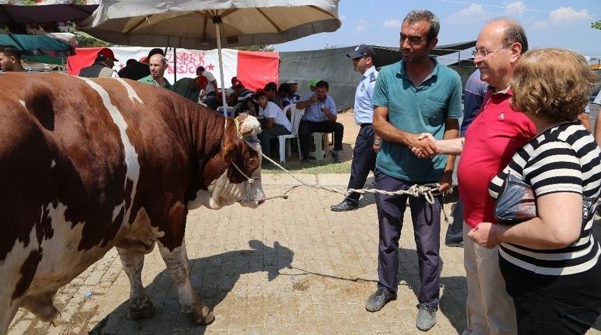 Efeler’de Kurban Kesim Yerleri Belirlendi