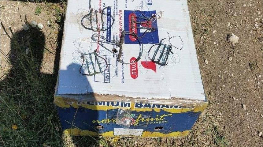 Kaçak Şahin Avcılarına Suçüstü