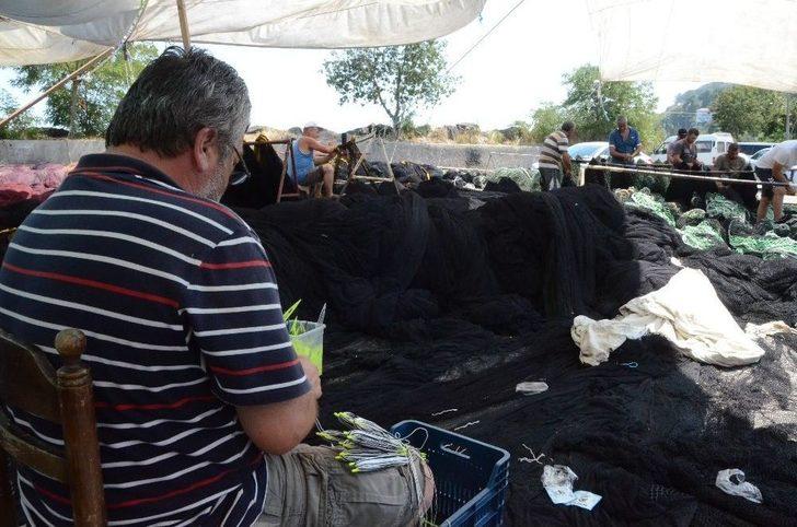 Ordulu Balıkçılar Yeni Sezona Tam Gaz Hazırlanıyor G1