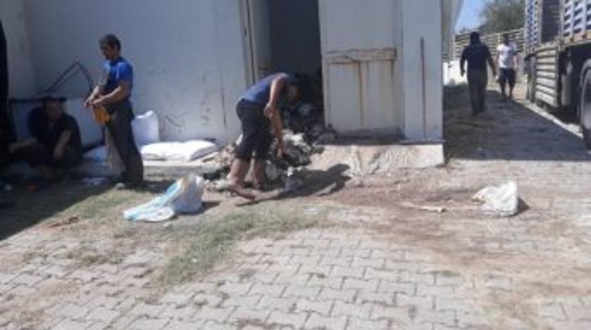 Thk, Akseki’de 2 Bin 618 Deri Topladı