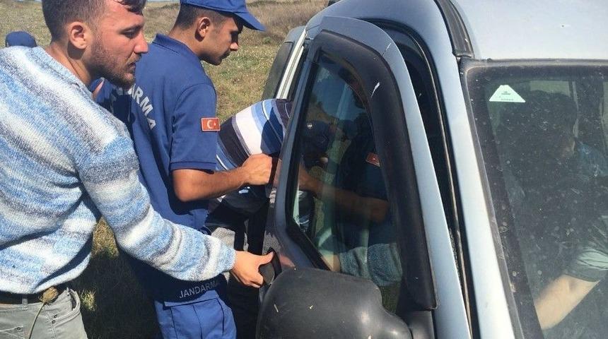 Kaybolan Alzheimer Hastası Kadın Ormanda Bulundu