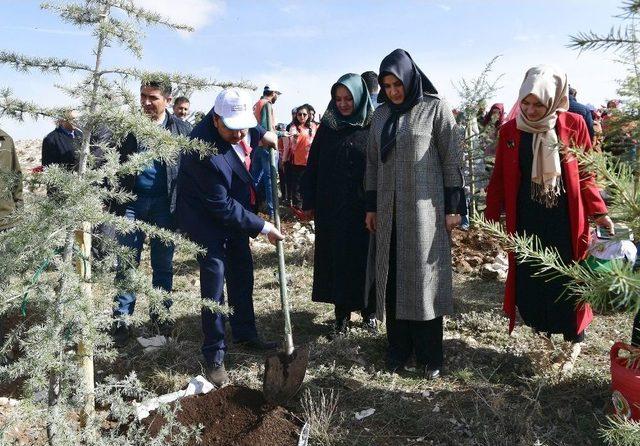 Kahramanmaraş’ta Şehitler Adına Fidan Dikildi