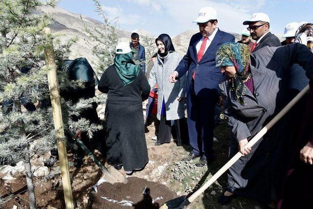 Kahramanmaraş’ta Şehitler Adına Fidan Dikildi