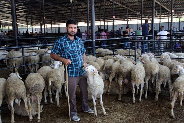 Canlı Hayvan Pazarı Törenle Açıldı