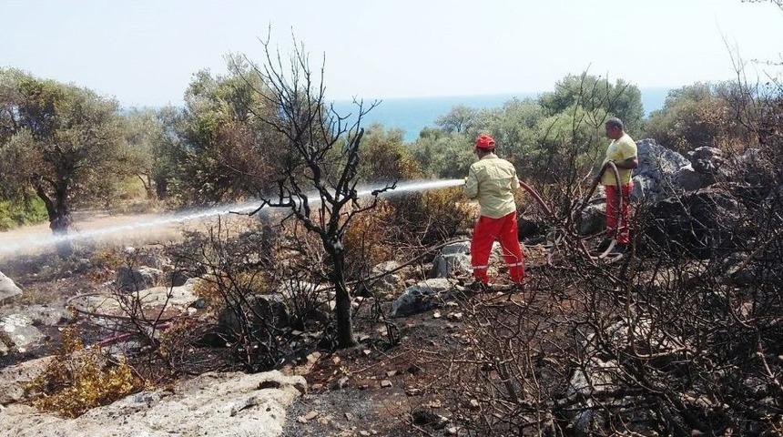 Antalya&rsquo;da Antik Kent Yakınında &Ccedil;ıkan Yangın Korkuttu