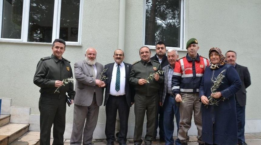 Ak Partili Kadınlar &rsquo;zeytin Dalı&rsquo; Dağıttı