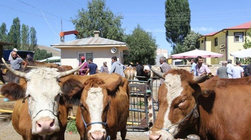 Bayburt&rsquo;ta Kurban Bayramı Heyecanı