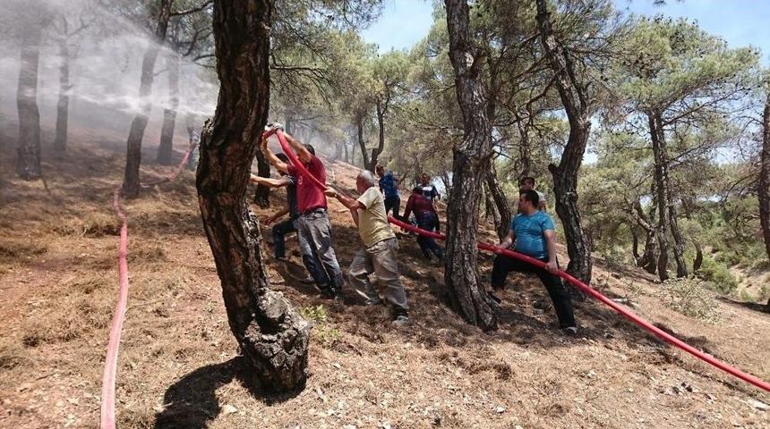 Reşadiye&rsquo;de Orman Yangını