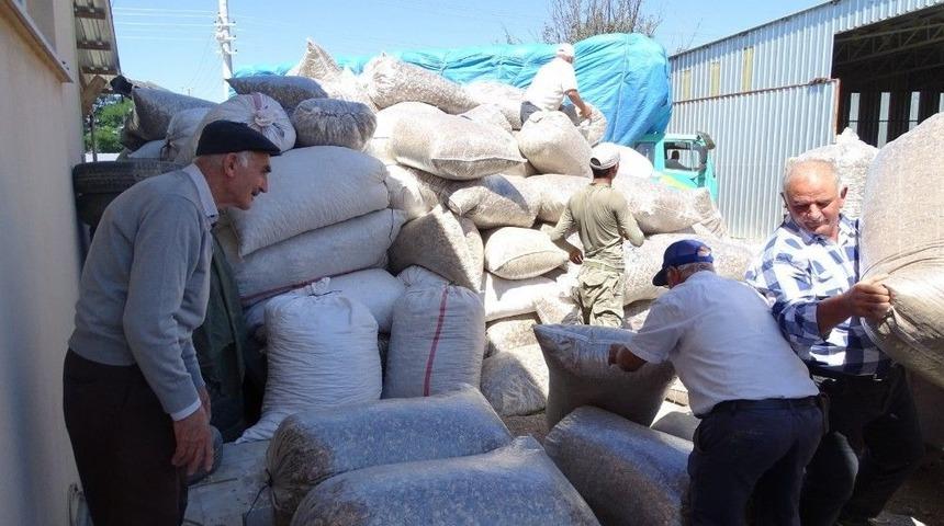 Haşhaş Kaps&uuml;l&uuml; Alımlarına Başlandı