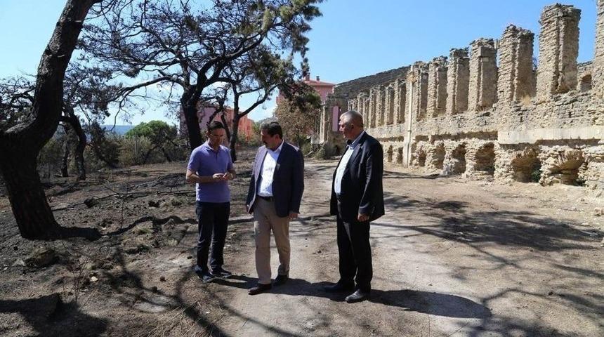 Vali Tavlı, Yangın Alanında İncelemelerde Bulundu