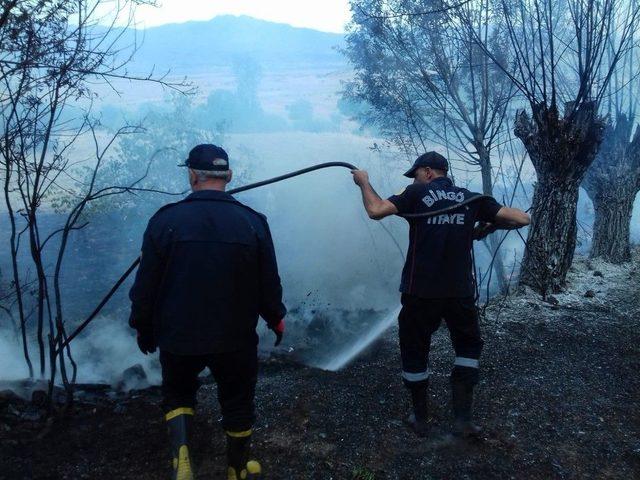 Bingöl’de Anız Yangını Ağaçlara Sıçradı