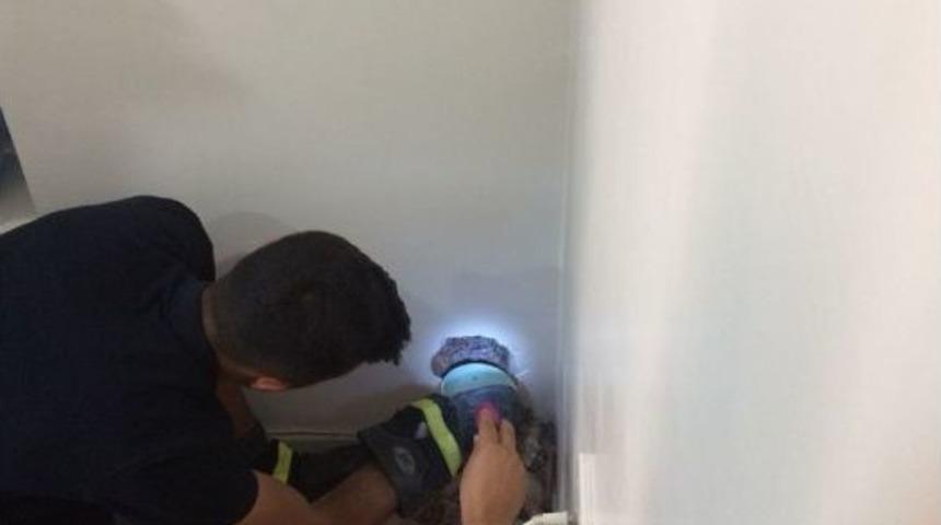 Bacaya Sıkışan Kuşu İtfaiye Kurtardı