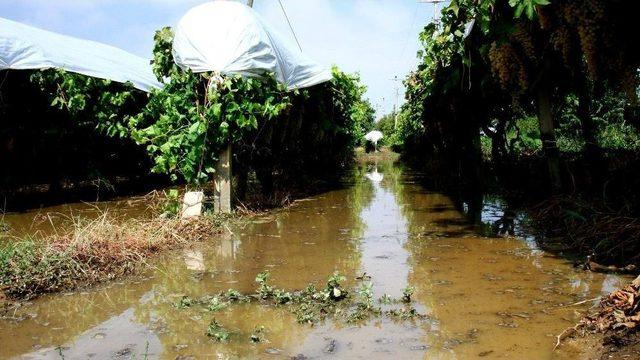 Sarıgöl’de Dolu Ve Fırtına Zarara Yol Açtı