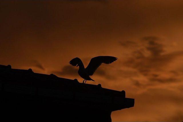 İstanbul’da Gün Batımı