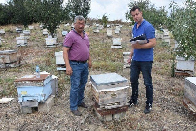 Tekirdağ Büyükşehir Belediyesinin Arıcılığa Desteği Sürüyor