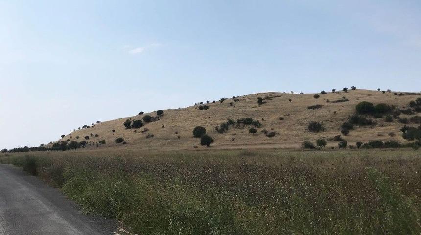 Myrina Ve Gryneion&rsquo;da Y&uuml;zey Araştırmalarına Başlandı