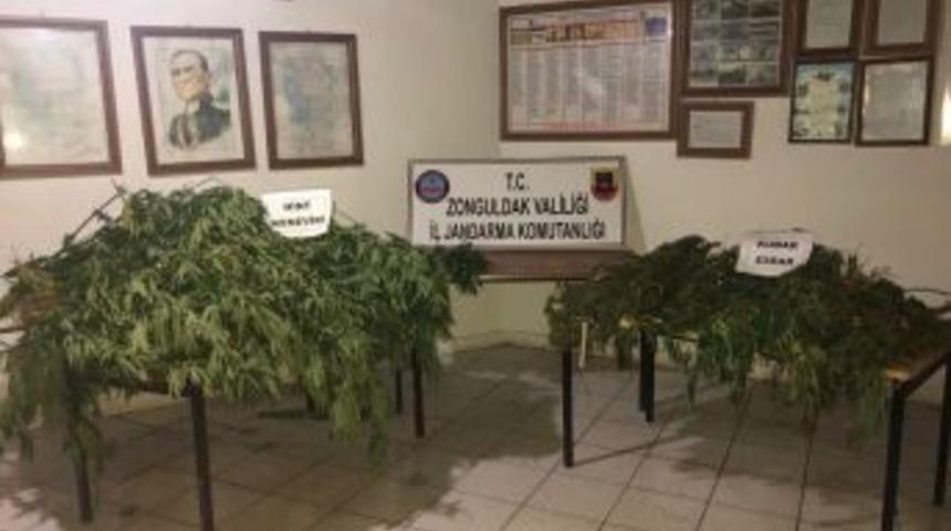Zonguldak&rsquo;ta Uyuşturucu Operasyonu