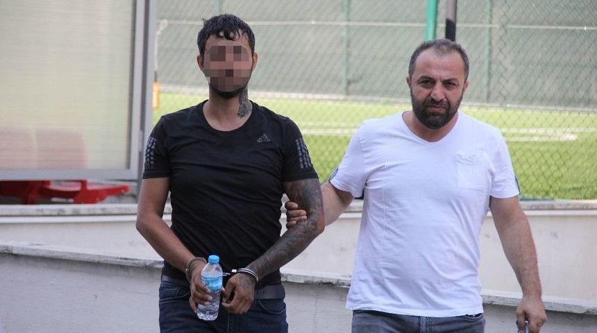 Evinde Bonzai Ele Geçti