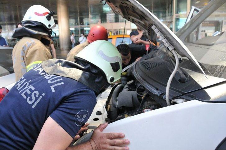 Atatürk Havalimanı’nda Kedi Operasyonu G1