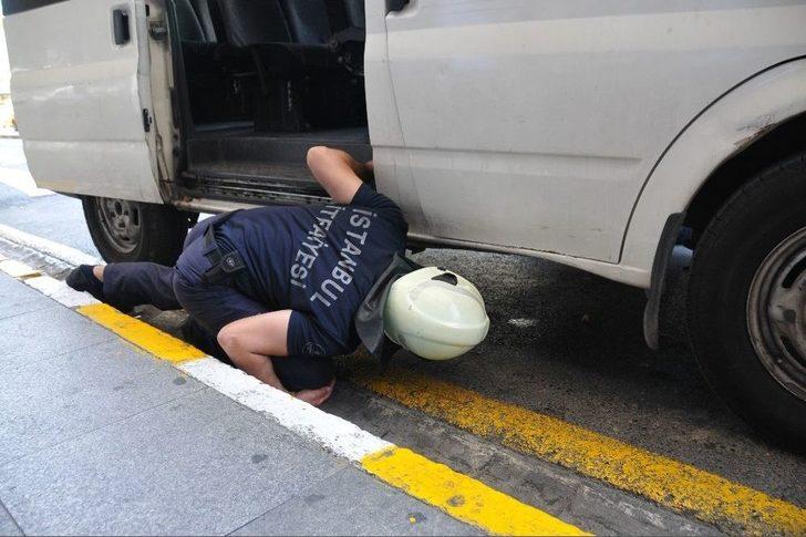 Atatürk Havalimanı’nda Kedi Operasyonu G2