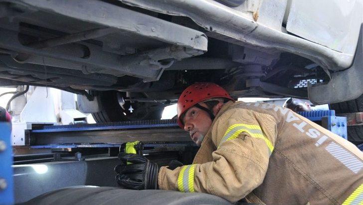 Atatürk Havalimanı’nda Kedi Operasyonu G4