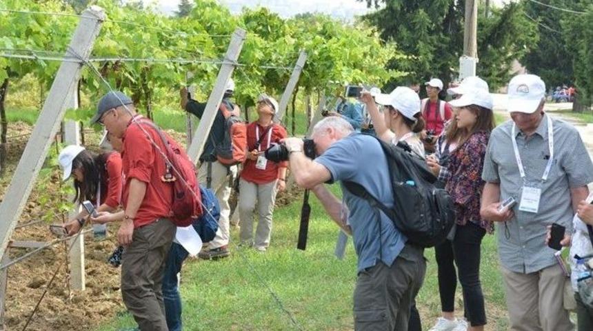 Uluslararası Araştırmacılar Bağcılık Enstit&uuml;s&uuml;n&uuml; Gezdi