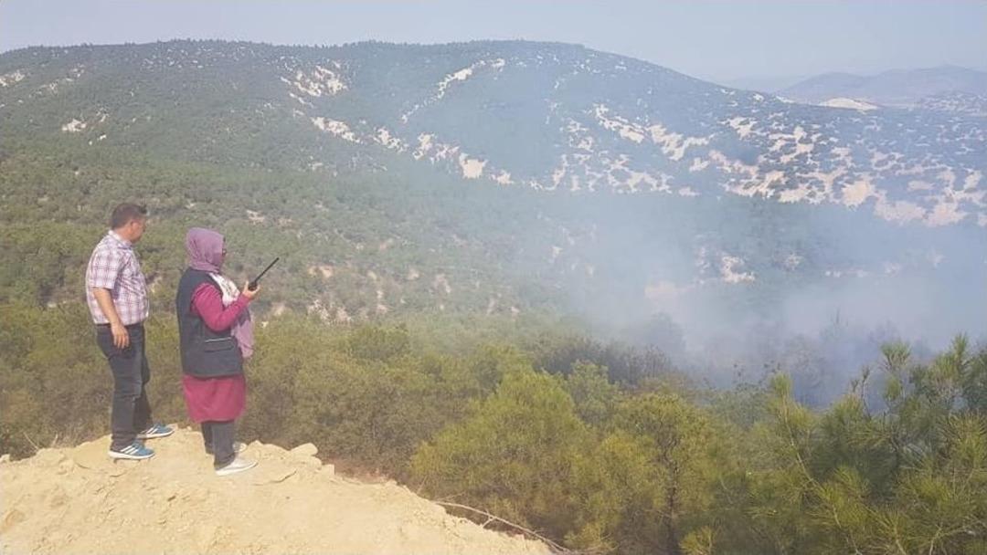 Hırsızların Yaktığı Kablolar 10 D&ouml;n&uuml;m Alanı K&uuml;le &Ccedil;evirdi