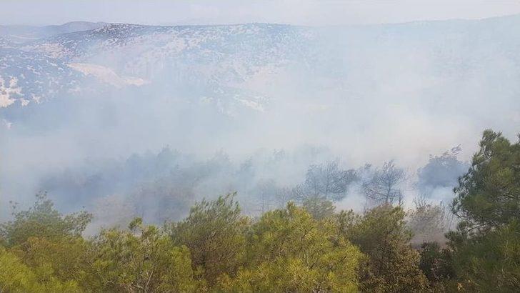 Hırsızların Yaktığı Kablolar 10 Dönüm Alanı Küle Çevirdi G4