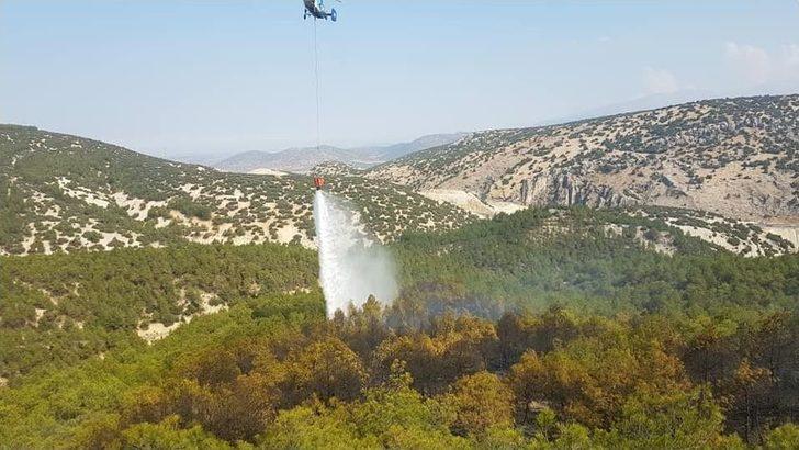 Hırsızların Yaktığı Kablolar 10 Dönüm Alanı Küle Çevirdi G5