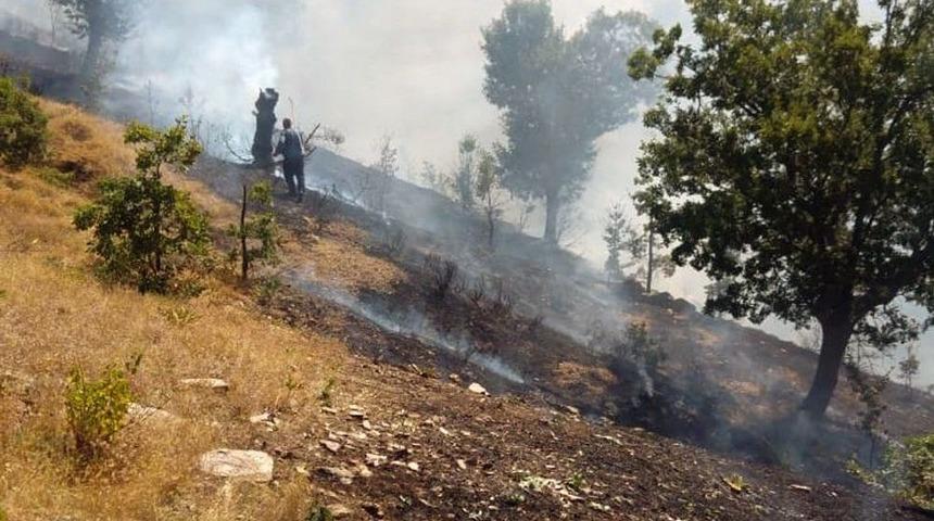 Çelikhan’da Yangın