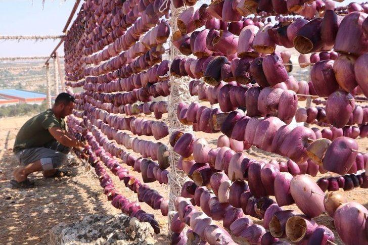 Aşırı Sıcaklıklar Bir Tek Onlara Yaradı G3