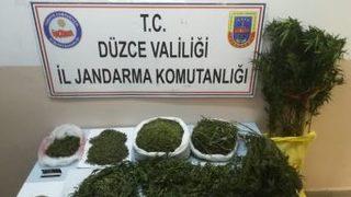 Düzce’de Jandarmadan Uyuşturucu Operasyonu